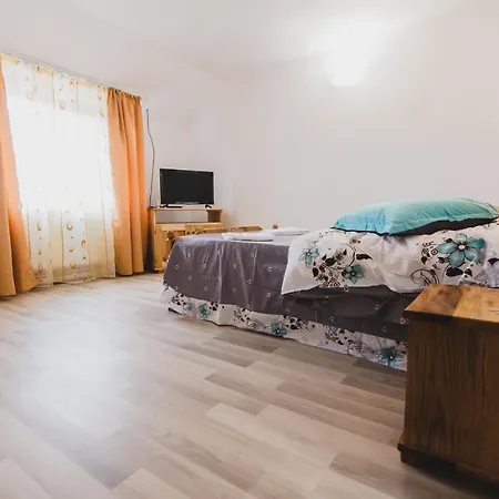 Pensiunea Elena Andreea-2