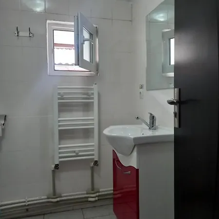 Casa Ionut-3