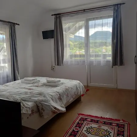 Casa Ionut-2