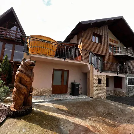 Vila Deluț-3