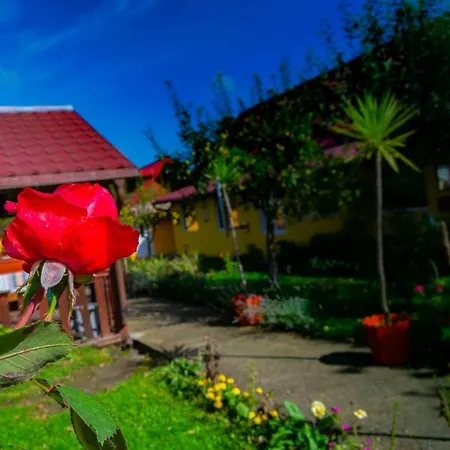 Casa Ardeleana-3