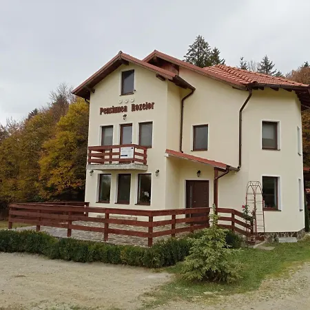 Pensiunea Rozelor Sâmbăta de Sus-3