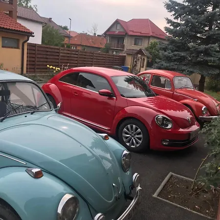 Vila Old Cars-3
