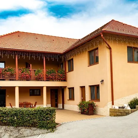 Casa Tofi Vendeghaz-2