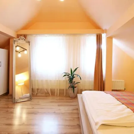 Lower Town Apartment In Sibiu-2