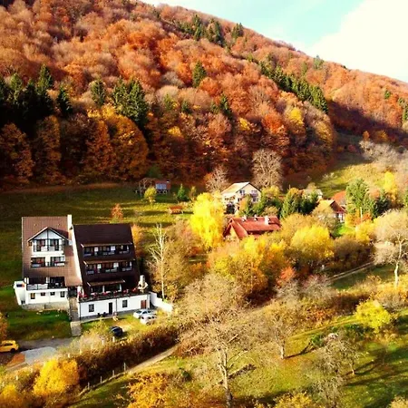Pensiunea Ursuleț Bran-2