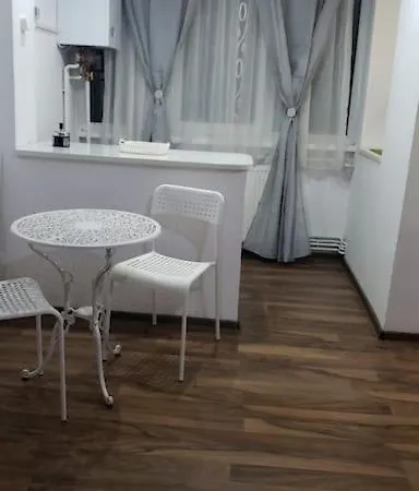 Studio Ris Harmanului Brasov Centrul Nou-3