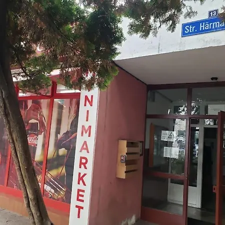 Studio Ris Harmanului Brasov Centrul Nou-2