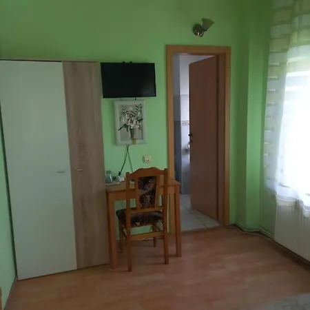 Pensiunea Vila Dana-2