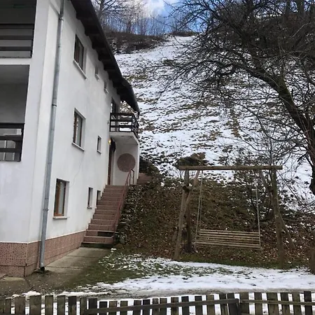 Pensiunea Bubu-2