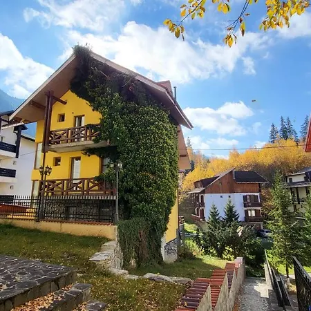 The Mountain Villa-3