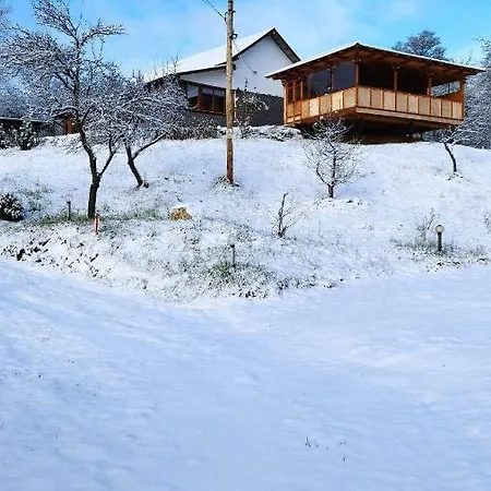 Casa Veche Corbeni-2