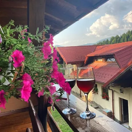Pensiunea Dumitrita-2