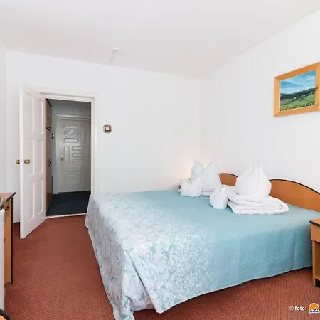Hotel Bradul-3