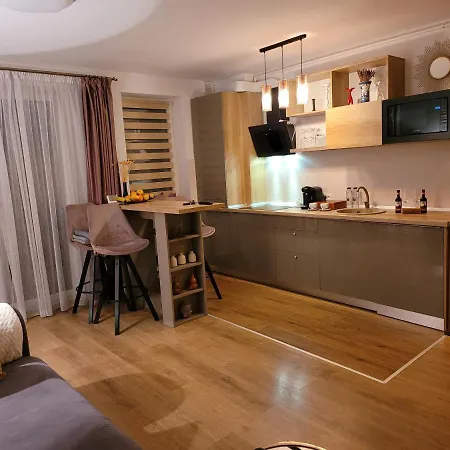 Executive Apartment Avantgarden Coresi-2