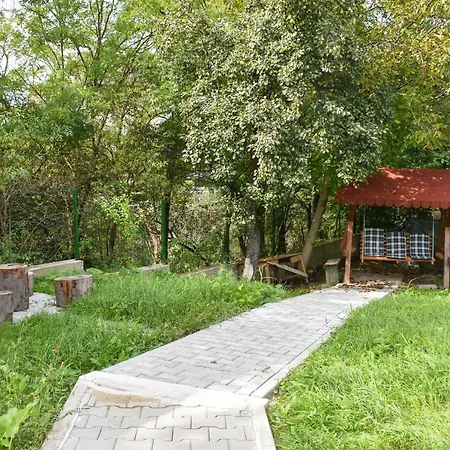 Tomis House-3