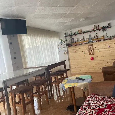 Vila Adelin Busteni-2