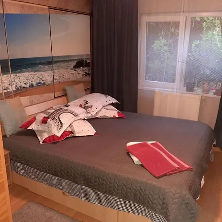 Vila Adelin Busteni-3