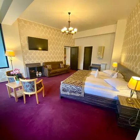 Pensiunea Rix Rooms-2