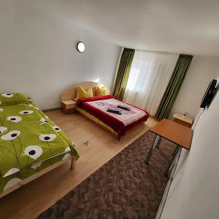 Vila 41 Busteni-3
