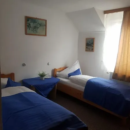 Pensiunea Casa Munteanu Râșnov-2