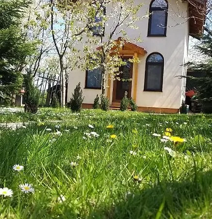 Tiny Cabin-2