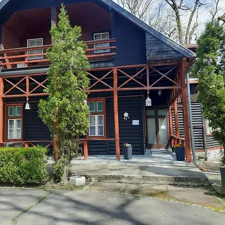 Vila Viorica-2