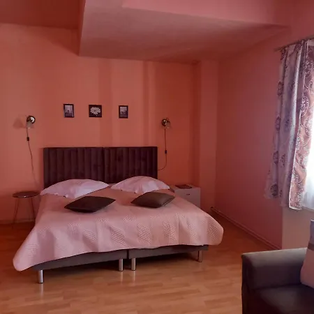 Pensiunea Vila Dana-3