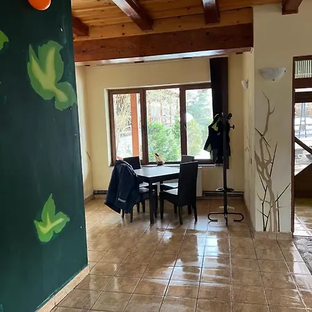 Chalet Forest Valea Avrigului-3