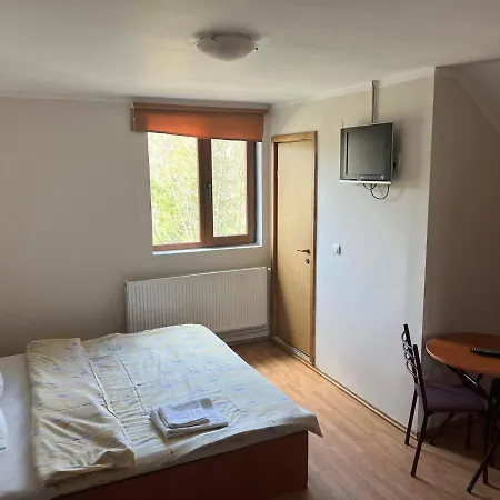 Chalet Forest Valea Avrigului-2