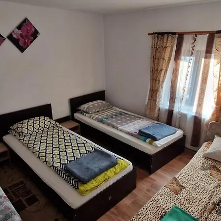 Pensiunea Casa Andreea-2