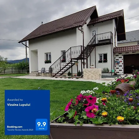 Vizuina Lupului-2