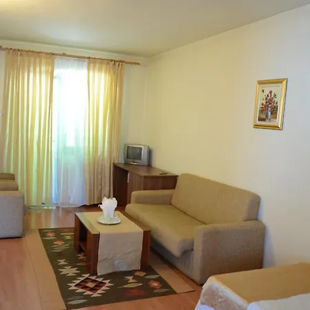 Pensiunea Valea Ursului-3