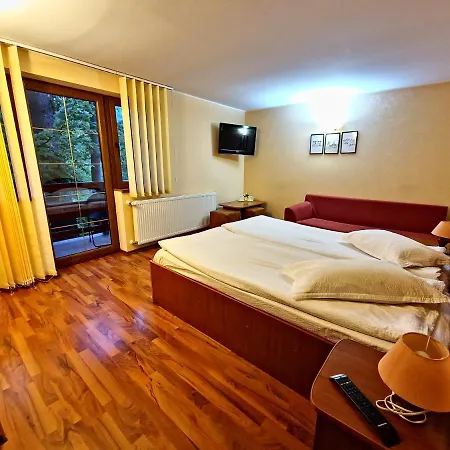 Casa Sion Sinaia-3
