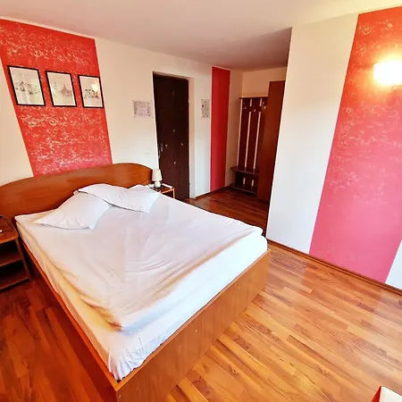 Casa Sion Sinaia-2