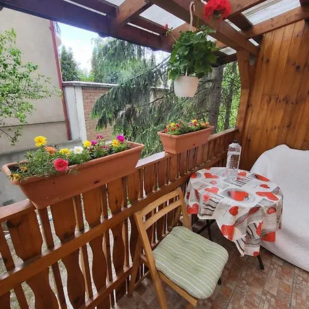 Jaky Residence Cu Terasa-2