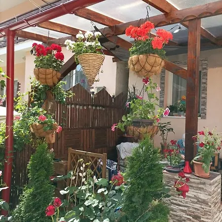 Casa Puiu-3