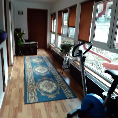 Casa Puiu-2