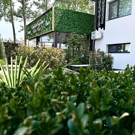 Renato House-2