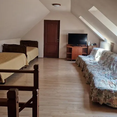 Casa De Oaspeti " Rodica"-3