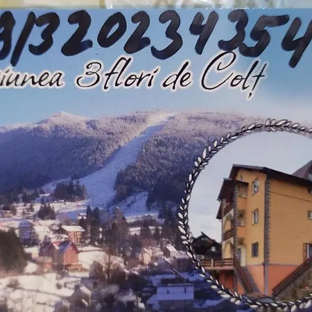 Pensiunea 3flori de Colț-2