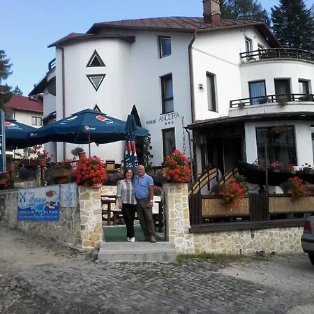 Ancora-2