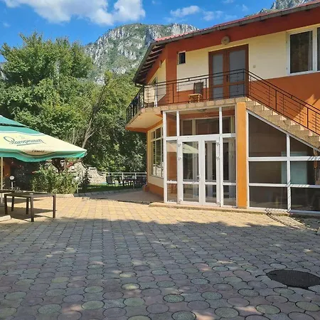 Casa Orhideea-3