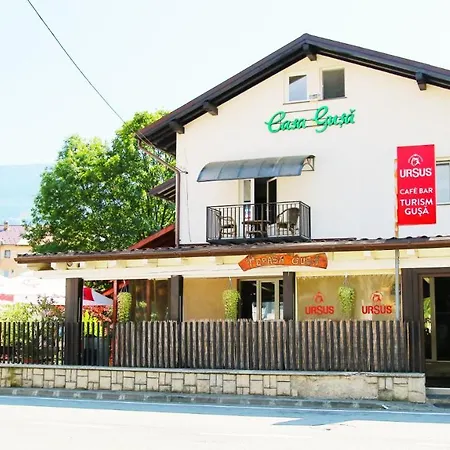Casa Guşă-3