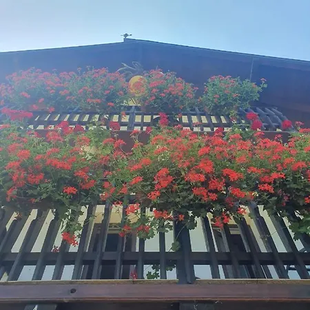 Casa Flavius 2-3