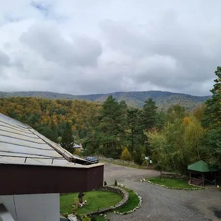 Randunica-2