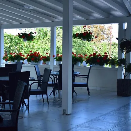 Pensiunea Classic Hotel-3