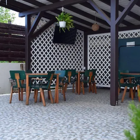 Pensiunea Classic Hotel-2