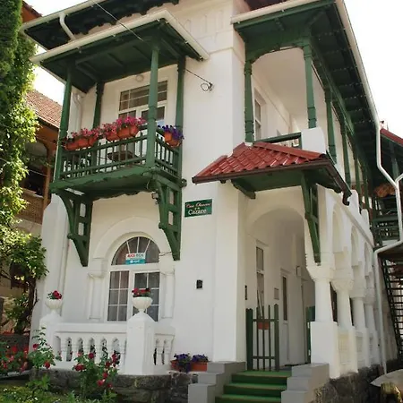 Casa Olanescu-2