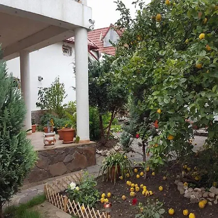 Villa Cristiani-3